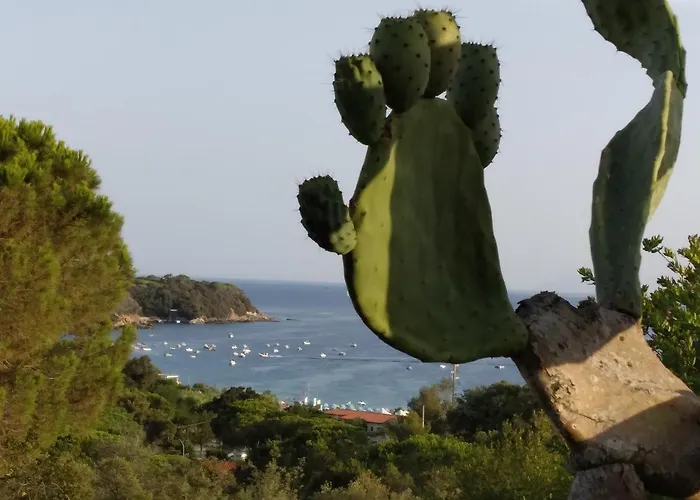 Felciaio 아파트 *